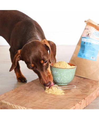 Sollis Joint Powder for Dogs - Green-Lipped Mussel MSM Devil's Claw Glucosamine & Collagen | 300g Mobility Supplement for Optimal Canine Health - Buy Online on GoSupps.com