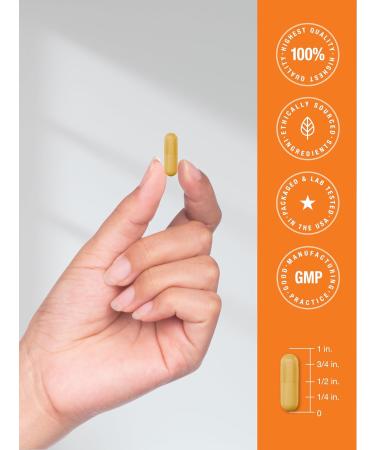 Horb ach B-100 Complex Vitamin | 60 Capsules | Non-GMO and Gluten Free Supplement - Buy Online on GoSupps.com