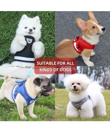 DARENYI Small Dog Harness Set | Adjustable Puppy Vest Harness with Mesh | No Pull Design | Includes 1.2m Lead | Size M Grey - Buy Online on GoSupps.com