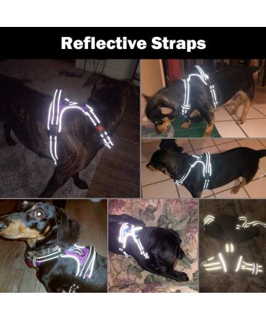 Phoepet Adjustable Reflective Dog Harness - Anti-Educational Training Handle ID Card 2 Metal Hooks 3 Snap Buckles Easy Fit - Small Green - Buy Online on GoSupps.com