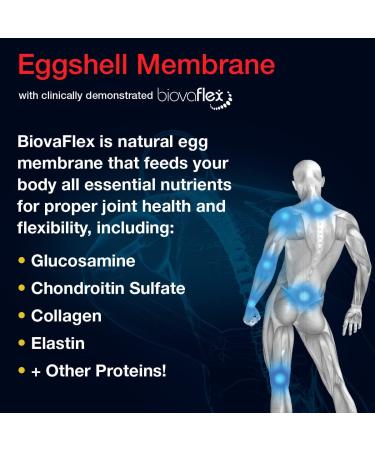 ExoFlex Eggshell Membrane with BiovaFlex, Vitamin C, Curcumin & Boswellia 10 Fl Oz - Buy Online on GoSupps.com