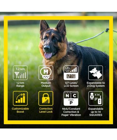 Dogtra Canada ARC HANDSFREE Plus Boost and Lock Remote Dog Training E-Collar HANDSFREE Square Waterproof 1.2KM Range 1 Dog Expandable System Medium Large Dogs with CA Warranty ARC Handsfree Plus B&L - Canada Warranty - Buy Online on GoSupps.com