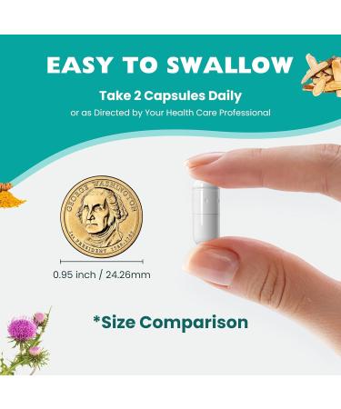 Milk Thistle Supplement - Liver Detox Cleanse Formula Herbal Liver Support with Milk Thistle Dandelion Root Artichoke Turmeric Astragalus for Liver Health 90 Capsules 90 Count (Pack of 1) - Buy Online on GoSupps.com