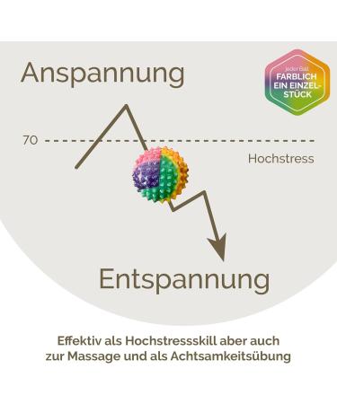 2x DBT Skills Hedgehog Ball - Magnetic Stress Relief Acupressure Ball | Boost Mobility & Concentration | Colorful 32mm Massage Tool - Buy Online on GoSupps.com