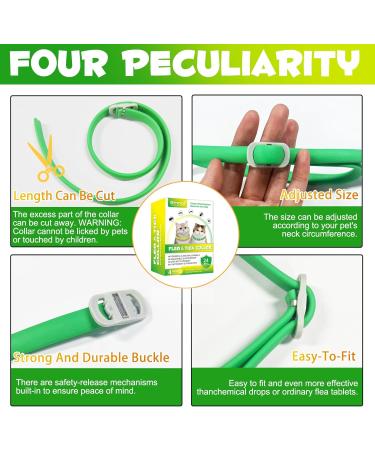 Cat Collar Set of 4 - 48cm - Stylish Green & Yellow Design for International Shipping - Buy Online on GoSupps.com