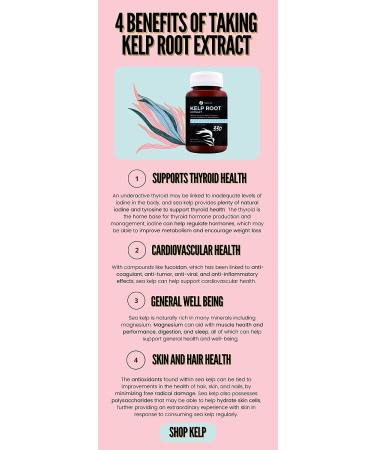 Fine USA Kelp Root Extract for Healthy Thyroid & Immune System | Natural Source of Iodine, Fucoidan & Magnesium | Vegan Non-GMO | Ethically Sourced in Japan - 300 x 300mg - Buy Online on GoSupps.com