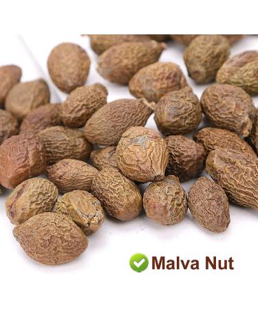 PlantGift Malva Nut 125G/4.4oz Dried Sterculia Lychnophora Dried Pangdahai Chinese Health Tea - Buy Online on GoSupps.com