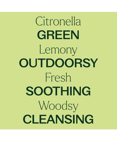 Plant Therapy Citronella Organic Essential Oil 30 mL (1 oz) 100% Pure USDA Certified Organic Undiluted Natural Aromatherapy for Outdoor Pests and Immune Support - Buy Online on GoSupps.com