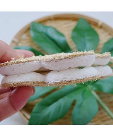 Shakven Natural Sponges - Compostable Sponges with Double-Sided - Kitchen Dish Towel Reusable Dish Sponge Dish Scrubbing Sponges for Home Kitchen Flowers - Buy Online on GoSupps.com