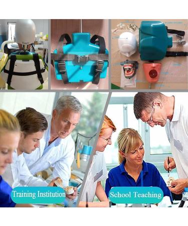 Buy Dental Phantomkopf Model - Realistic Dental Simulator with 28 Resin Teeth & 7 Pulp Cavity for Dentists & Assistants | International Shipping - Buy Online on GoSupps.com