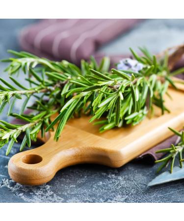 Organic Dried Rosemary 25g Bag - Fragrant & Flavorful Herb for Cooking | Artisan Italia - Buy Online on GoSupps.com