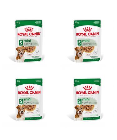 Royal Canin Mini Ageing 12+ | Pack of 4 | 4 x 12 x 85 g | Complete Food for Senior Small Breed Dogs | Can Help Support Kidney Health in Dogs | in Gravy