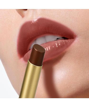  WJnflQN Tinted Lip Gloss - Hydrated Lips Makeup for Travel Wedding Evening Night Everyday Wear - Buy Online on GoSupps.com