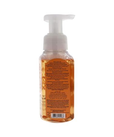 Shop Peach Bellini Hand Soap by Bath & Body Works - 8.7 oz | International Shipping Available - Buy Online on GoSupps.com