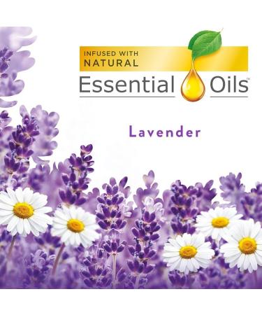 Air Wick Scented Oil Air Freshener Refill - Lavender & Chamomile | 8-Pack - International Shipping Available - Buy Online on GoSupps.com