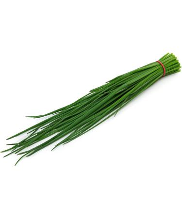 Highest quality pumpkin from Germany Spices chives of the highest quality Reduced seeds Polyethylene bucket 450g - Buy Online on GoSupps.com