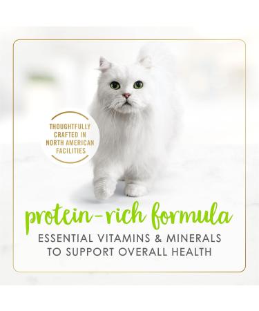 Fancy Feast Wet Cat Food Gravy Lovers Pat Salmon Feast in Gravy - 85 g Can (24 Pack) - Buy Online on GoSupps.com