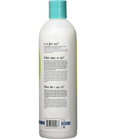 DevaCurl No-Poo Decadence Cleanser 12 fl oz - Zero Lather Ultra Moisturizing Milk for Curly Hair - Buy Online on GoSupps.com