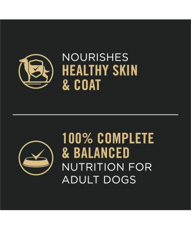 Purina Pro Plan Complete Essentials Wet Dog Food Classic Beef & Rice Entree - 368 g Can (12 Pack) - Buy Online on GoSupps.com