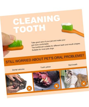 FOMIYES 1 Set Pet Toothbrush Toothbrushes Dog Toothbrush and Toothpaste Toothbrush for Pet Supplies Pet Dog - Buy Online on GoSupps.com