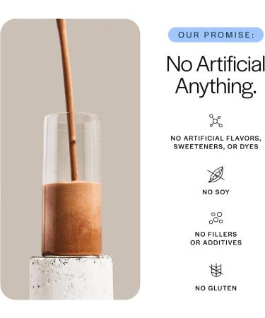 Gainful Lean Whey Protein Powder & Sweet Treat Flavor Bundle 20g Protein Supports Lean Muscle Metabolism and Satiety with Green Tea Extract & Digestive Enzymes 14 Servings + 14 Flavor Sticks - Buy Online on GoSupps.com