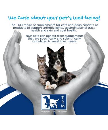 CANIGEST Probiotic Paste for Cats and Dogs - 30ml | Easy-to-Administer Tummy Settler with Probiotics, Prebiotic, Glutamine, Kaolin & Pectin - Buy Online on GoSupps.com