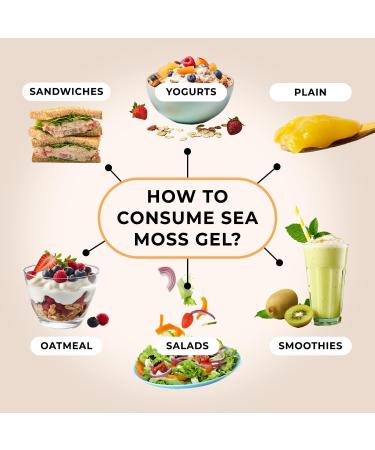 TrueSeaMoss Sea Moss Gel - Alternative Form of Sea Moss - Elderberry Irish Sea Moss Gel - Sea Moss Gel Organic Raw - Made in the USA - Elderberry Sea Moss Gel 473 ml (16 Fl Oz) - Buy Online on GoSupps.com