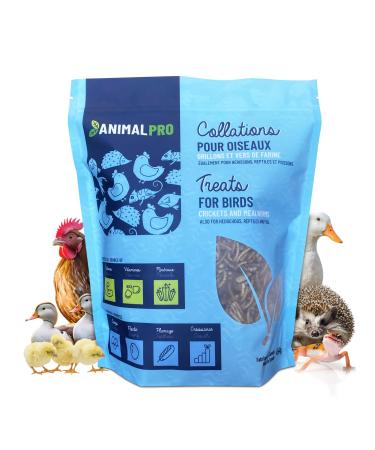 AnimalPro Crickets and Mealworms 454 g - 1 LB