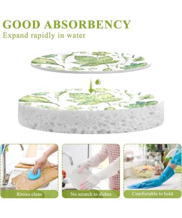 3-Pack Cleaning Kitchen Sponges Oval Tropical Leaves Watercolor Kitchen Cellulose Dishwashing Wood Pulp Cotton - Buy Online on GoSupps.com