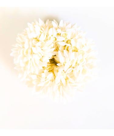 Pretty Charming Artificial Hair Gajra Bands Product - Buy Online on GoSupps.com