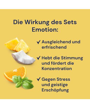 Spitzner Sauna Infusion Set Emotion - 3 x 190 ml | Pineapple Coconut Orange & Lemongrass Basil | Wellness Experience for International Shipping - Buy Online on GoSupps.com