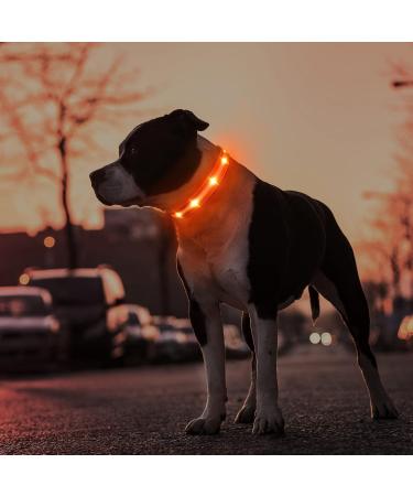 Masbrill LED Dog Collar - Luminous Waterproof Adjustable Safety Band with 3 Flashing Lights for Small Medium & Large Dogs (48-60cm / 19-23.6inch) - Orange - Buy Online on GoSupps.com