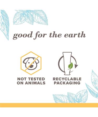 Burt's Bees Extra White Toothpaste Fluoride Toothpaste Natural Flavor Mountain Mint 4.7 oz Pack of 3 - Buy Online on GoSupps.com