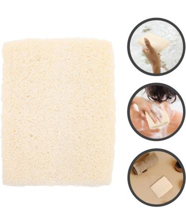 NOLITOY Natural Loofah Sponge - Exfoliating Body Scrubber for Men & Women | Egyptian Luffa for Bath & Shower - Buy Online on GoSupps.com
