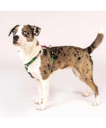 Max & Molly H-Shaped Dog Harness for Small Dogs | Ultra-Comfortable Neoprene XS Tropical | Padded & Lightweight Safety - Buy Online on GoSupps.com