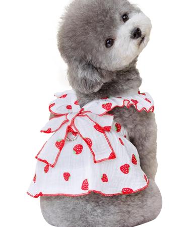 Shenrongtong Puppy Dresses for Small Dogs | Cute Strawberry Print Dog & Cat Clothing | Stylish Litter Clothes for Girls - Buy Online on GoSupps.com