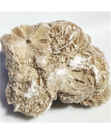 300-600g Natural Desert Rose Stones SeleniteReiki ra Crystal Specimen Rough Sample Cluster fengshui Home Decor ZJGIDTEM (Color : About 300g) - Buy Online on GoSupps.com