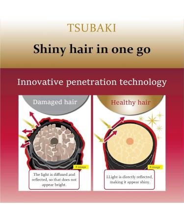 Tsubaki Premium Shampooing et Apr s-Shampooing Moist & Repair Duo Pompe 450ml + 450ml - Buy Online on GoSupps.com