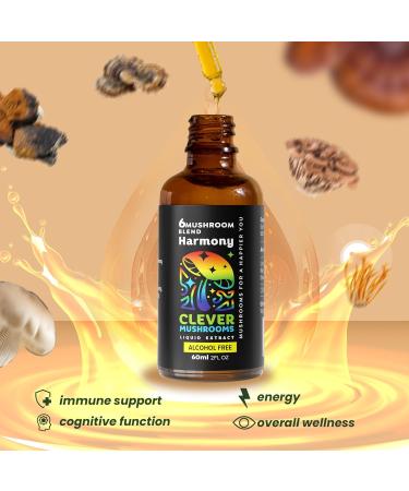 6 Blend Mushroom Liquid Extract US Grown Mushrooms Alcohol Free Natural Energy Cognitive Support Immunity Boost 100% Fruit Bodies Lion's Mane Cordyceps Reishi Chaga Turkey Tail (1 fl oz) - Buy Online on GoSupps.com