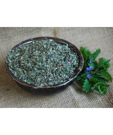 Naturix24 Ground ivy cut plant 250g