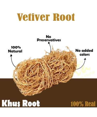 aj Vetiver Root 100g Khus Root Vetiveria Zizanioides Vala Kas Ramacham Vetiver for Hair Growth Healthy Skin (Pack of 1 X 100g) - Buy Online on GoSupps.com