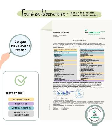 Horsetail Organic | French Extraction | 1000 mg Superior Extract (5:1) | Organic Silicon for Hair + Circulation + Skin | No Additives | 90 Capsules | Vegan | Vegavero  - Buy Online on GoSupps.com