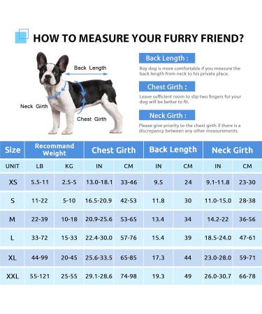 Buy Cit toile Shark Life Jacket for Dogs - Light Safe & Reflective - Perfect for Water Sports - Available in L L Blue for Small Medium & Large Dogs - Buy Online on GoSupps.com