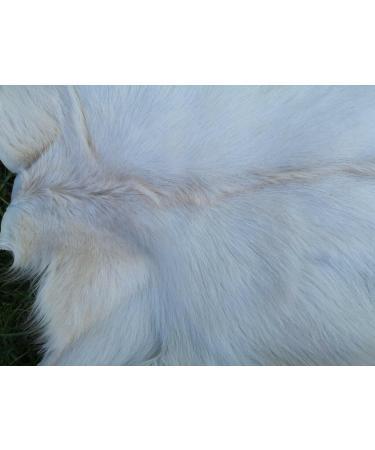 Provellus Goatskins Goat Fur No Odour Top Tanning Natural Bargain (Dark Unit Price 110-120 cm) - Buy Online on GoSupps.com