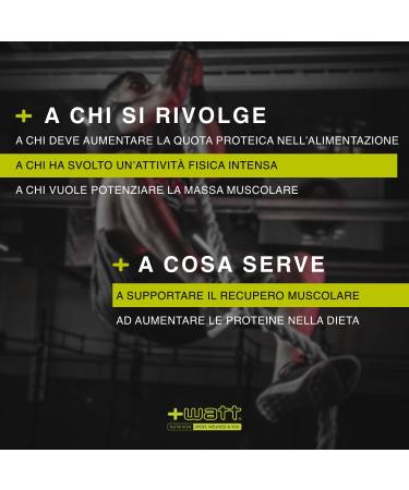 Watt Whey Protein 90 Whey Protein 90 Format 750g Doypack Flavor Hazelnut cream - Buy Online on GoSupps.com