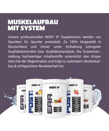 Body IP Perfect EAA - Peach Ice Tea | Essential Amino Acids for Muscle Building | Vegan Lactose-Free | 20 Portions | 500g | Made in Germany - Buy Online on GoSupps.com