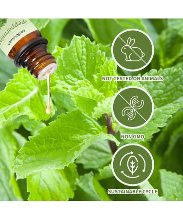 Sedbuwza Lavender Peppermint Essential Oil Set 100% Pure Aromatherapy Gift Oils for Skin Massage Diffuser Aromatherapy Peppermint + Lavender - Buy Online on GoSupps.com