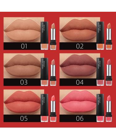 YOUNG VISION Lipsticks Set: Multi-finish Matte Nude Colors Bundle for Long-lasting & Moisturizing Lip Makeup - Pack of 6 - Perfect Gift for Women - Buy Online on GoSupps.com