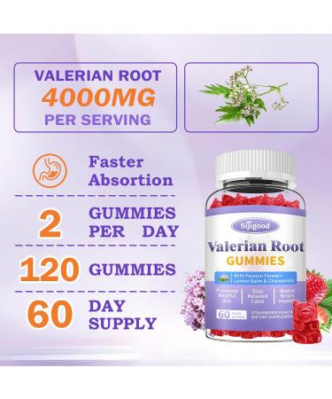 2 Pack Valerian Root Gummies Organic, Valerian Root Supplement for Zzz, Relaxation & Calm, Natural Herbal Supplement for Men & Women, Melatonin Free, Vegan, Non-GMO, Strawberry Flavor, 120 Count 60 Count (Pack of 2) - Buy Online on GoSupps.com
