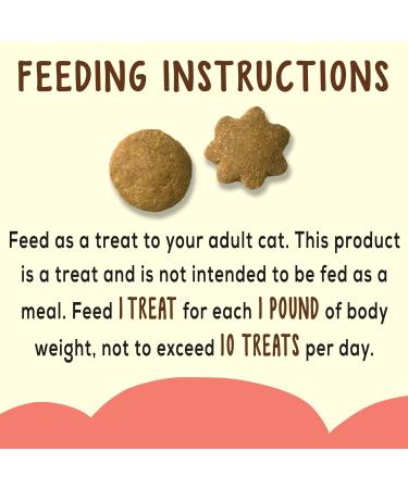 Friskies Party Mix Cat Treats Naturals Seaside Crunch with Real Fish - 454 g Cannister (1 Pack) 454 g (Pack of 1) - Buy Online on GoSupps.com